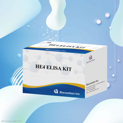 Diagnóstico médico Kit de análise ELISA sensível e fiável para HE4 KITS ELISA