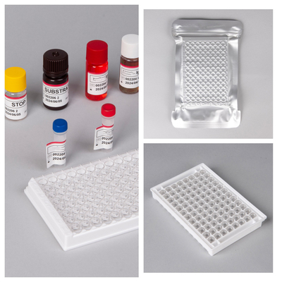 Kit de teste HIV Ab Ag Elisa com vida útil de 18 meses e alta sensibilidade/especificidade