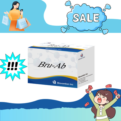 ELISA Animal Bru-Ab Reagente Elisa com 192 t Para Porcos Caprinos Rapazes e Ovelhas