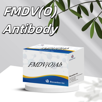 Doença da febre aftosa bovina vírus O Kit de teste rápido de anticorpos FMD FMDV Detecção de doenças devastadoras do gado