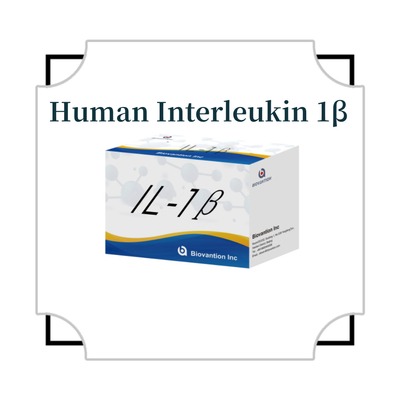 Humana Elisa Interleucina humana 1β ((IL-1β) Apenas para utilização em investigação