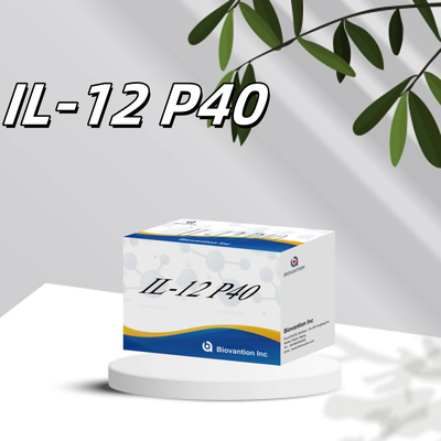 96 T Sério 98% Especificidade ELISA RUO Kit de Teste Humano IL-12 P40