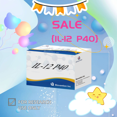 96 T Sério 98% Especificidade ELISA RUO Kit de Teste Humano IL-12 P40