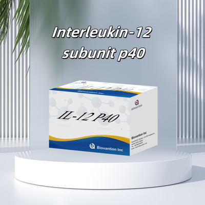 96 T Sério 98% Especificidade ELISA RUO Kit de Teste Humano IL-12 P40