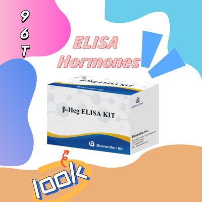 β-hCG ((Quantitativo) Kit de ensaio Elisa de 1 hora para sensibilidade e especificidade de anticorpos