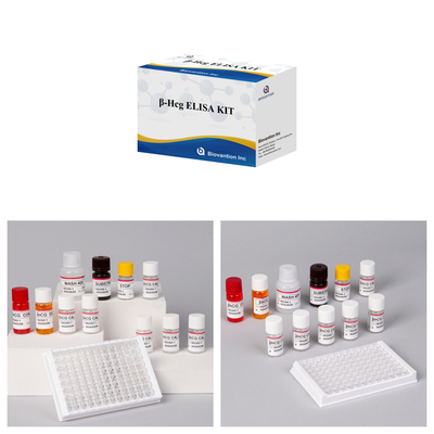 β-hCG ((Quantitativo) Kit de ensaio Elisa de 1 hora para sensibilidade e especificidade de anticorpos