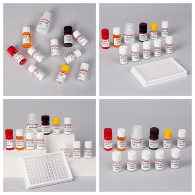 β-hCG ((Quantitativo) Kit de ensaio Elisa de 1 hora para sensibilidade e especificidade de anticorpos