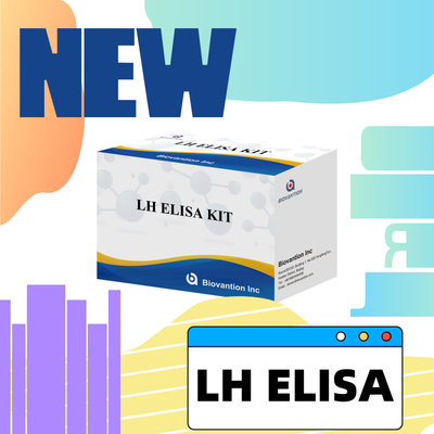Biovantion ELISA Test Kit para o diagnóstico de hormônio luteinizante humano