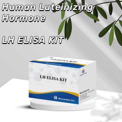 Biovantion ELISA Test Kit para o diagnóstico de hormônio luteinizante humano