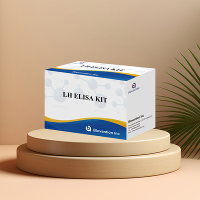 Biovantion ELISA Test Kit para o diagnóstico de hormônio luteinizante humano