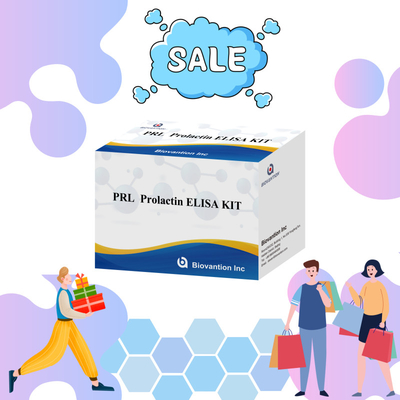 PRL Hormônios Humanos Quantitativos Kit de Reagentes de Detecção Diagnóstico