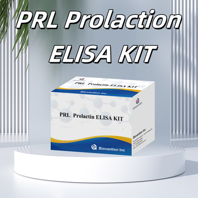 PRL Hormônios Humanos Quantitativos Kit de Reagentes de Detecção Diagnóstico