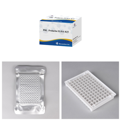 Sensibilidade e Especificidade IVD Elisa Test Serum Sample Enzyme Linked Immunosorbent Assay Test Kit