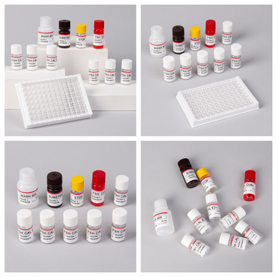 Período de validade de 18 meses Sensibilidade ao FSH (Quantitative) Kit ELISA para detecção de anticorpos contra antígenos