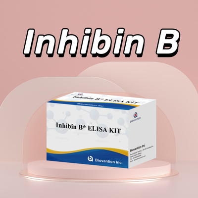 Biovantion Inhibin B Elisa Test Kit para diagnóstico humano com 96T