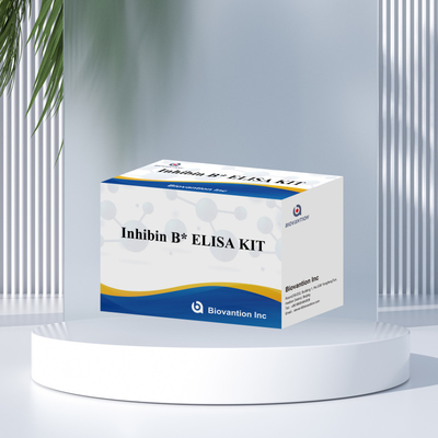 Biovantion Inhibin B Elisa Test Kit para diagnóstico humano com 96T