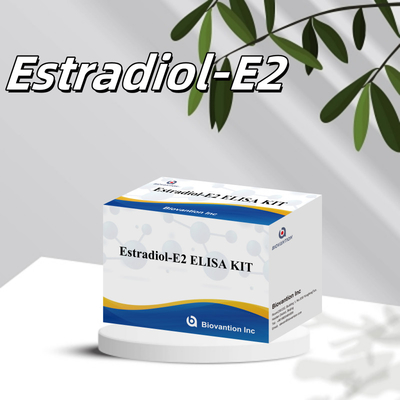 Biovantion Estradiol Quantitative 96-Well Plate Test Kit para amostras de soro com sensibilidade aumentada