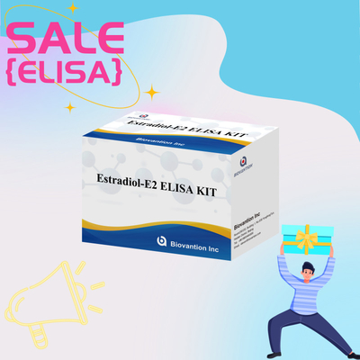 Biovantion Estradiol Quantitative 96-Well Plate Test Kit para amostras de soro com sensibilidade aumentada