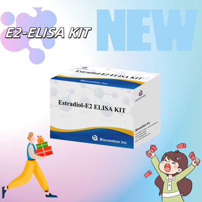 Biovantion Estradiol Quantitative 96-Well Plate Test Kit para amostras de soro com sensibilidade aumentada