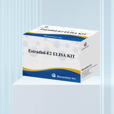 Biovantion Estradiol Quantitative 96-Well Plate Test Kit para amostras de soro com sensibilidade aumentada