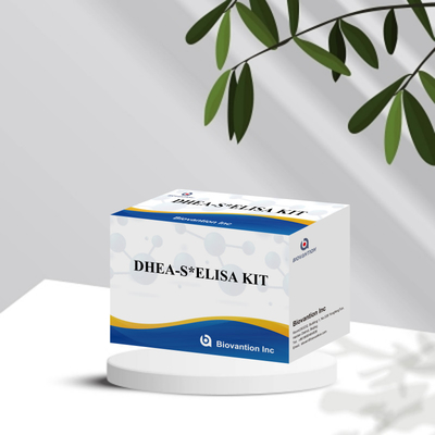 Biovanção Test Dehydroepiandrosteronesulfate DHEA-S Sensitive Elisa Test Kit