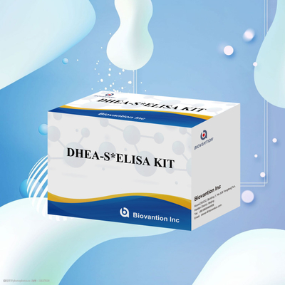 Biovanção Test Dehydroepiandrosteronesulfate DHEA-S Sensitive Elisa Test Kit
