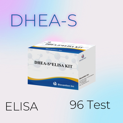 Biovanção Test Dehydroepiandrosteronesulfate DHEA-S Sensitive Elisa Test Kit