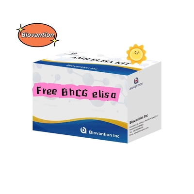 BHCG Elisa Kit de Teste Serum Grátis Armazenamento 2- 8. C Oito anos de vida útil oral