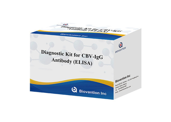 Kit de diagnóstico de anticorpos ELISA para CBV-IgG Kit de teste de soro
