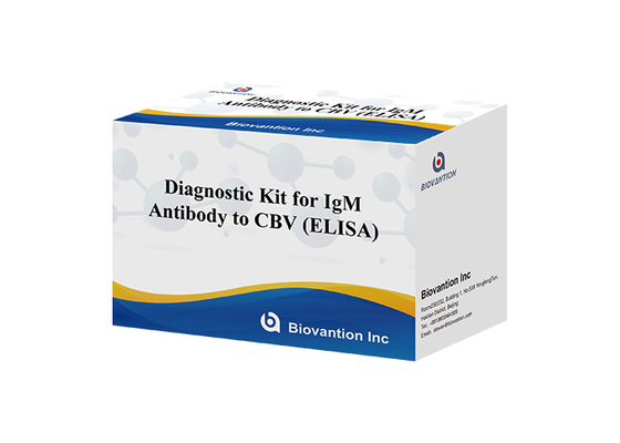 Kit de diagnóstico para anticorpos IgM contra CBV Kit de teste Elisa 50μL soro Diagnóstico médico