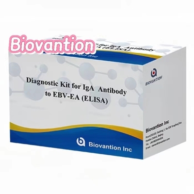 EBV-EA Kit de teste Elisa Kit de diagnóstico para anticorpos IgA de alta precisão