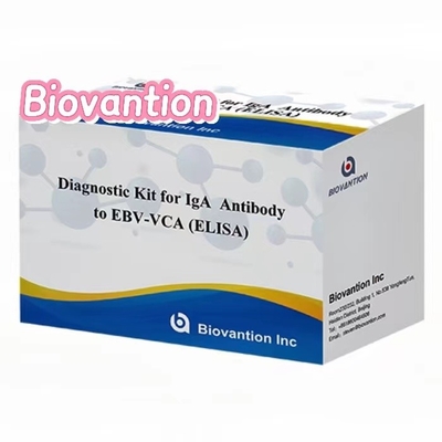 Kit ELISA de alta sensibilidade EBV VCA IgA para diagnóstico médico utilizando 50 μl de amostra de soro