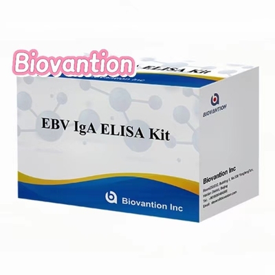 Anticorpo IgA contra o EBNA1 Kit de ensaio Elisa Sério 50μL Formatos do kit de amostras