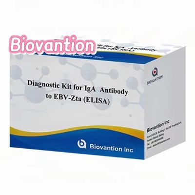 Kit de diagnóstico de anticorpos IgA contra EBV-Zta ELISA TEST KIT Kit de teste de imunossorbente