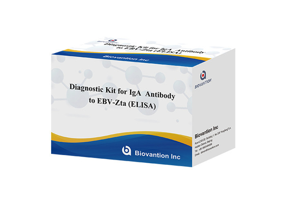 Kit de diagnóstico de anticorpos IgA contra EBV-Zta ELISA TEST KIT Kit de teste de imunossorbente
