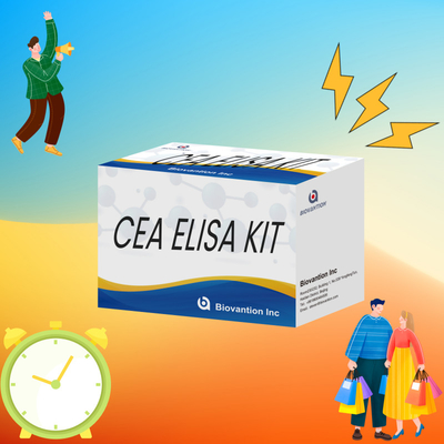 CE Approvation for Human Use CEA Quantitative Elisa Test Kit Test 96T