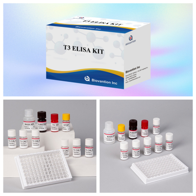 Kit de ensaio de imunossorbente ligado a enzimas para diagnóstico médico T3 com alta especificidade