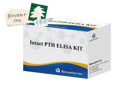 Kit de ensaio ELISA de medição de PTH 96 intacto para amostras de plasma com tempo de análise de 1 hora
