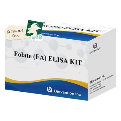Folato FA Kit de teste de diagnóstico médico de imunologia com alta sensibilidade e especificidade