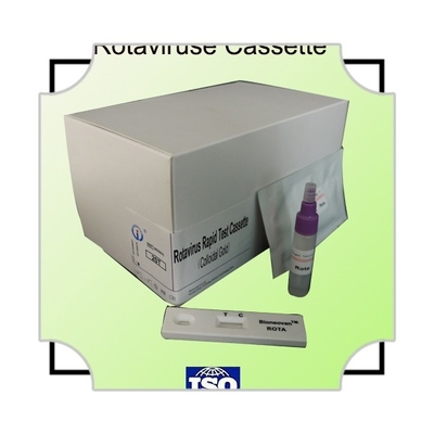 IVD Rotavirus Rapid Cassette Colloidal Gold Rapid Test para Diagnóstico Hospitalar 2-30C Prazo de validade 24 meses