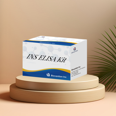 Kit de detecção de insulina INS para humanos reagente de detecção para soro humano