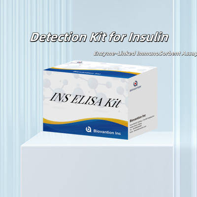 Kit de detecção de insulina INS para humanos reagente de detecção para soro humano