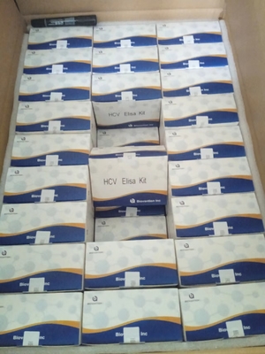 Kit de ensaio do HCV ELISA Espécimes de massa sem reactividade cruzada para ensaios precisos