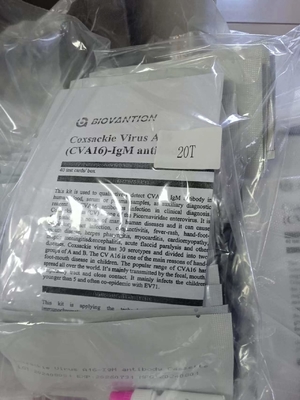 Anticorpos do vírus de Coxsackie A16 CVA16-IgM Cassete de teste rápido soro de teste rápido profissional