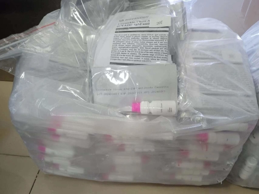 Anticorpos do vírus de Coxsackie A16 CVA16-IgM Cassete de teste rápido soro de teste rápido profissional