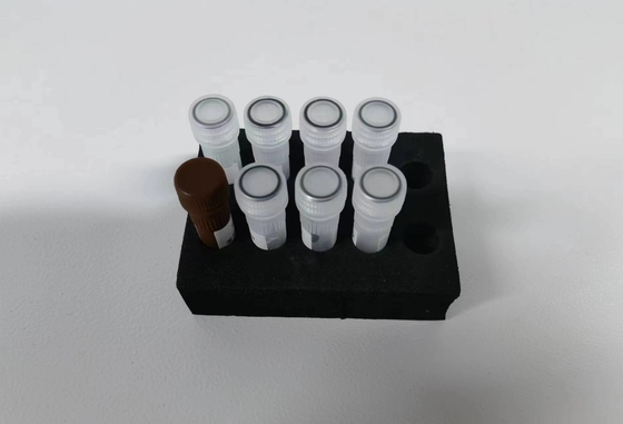 Hepatite B Virus HBV Kit de PCR quantitativo KIT Sensibilidade de amostra Kit de teste de tipo Com 96 testes
