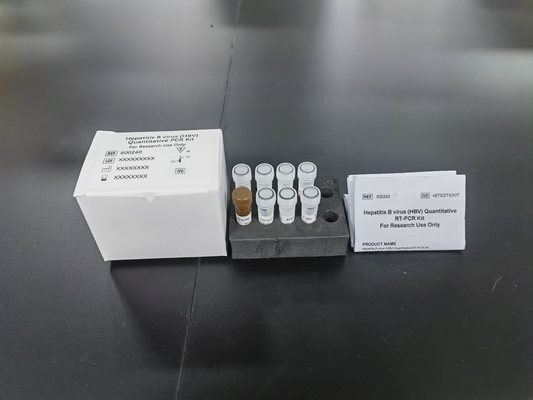 Hepatite B Virus HBV Kit de PCR quantitativo KIT Sensibilidade de amostra Kit de teste de tipo Com 96 testes