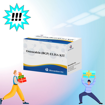 Kit de detecção de Osteocalcina BGP para humanos Reagente de detecção para plasma sérico humano