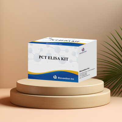 Kit de detecção para PCT para reagente de detecção humano para plasma sérico humano