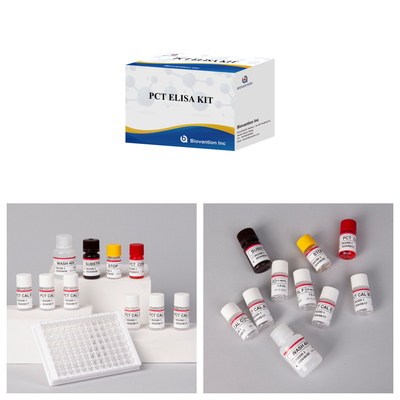 Kit de detecção para PCT para reagente de detecção humano para plasma sérico humano